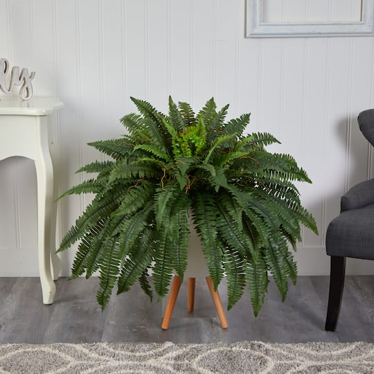 2.5ft. Boston Fern in Planter with Legs